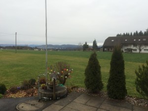 Strong, cold winds and rain prevented the planned walk/jog in the forest