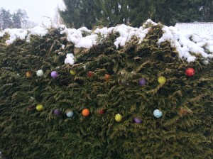 Solar lights in snow